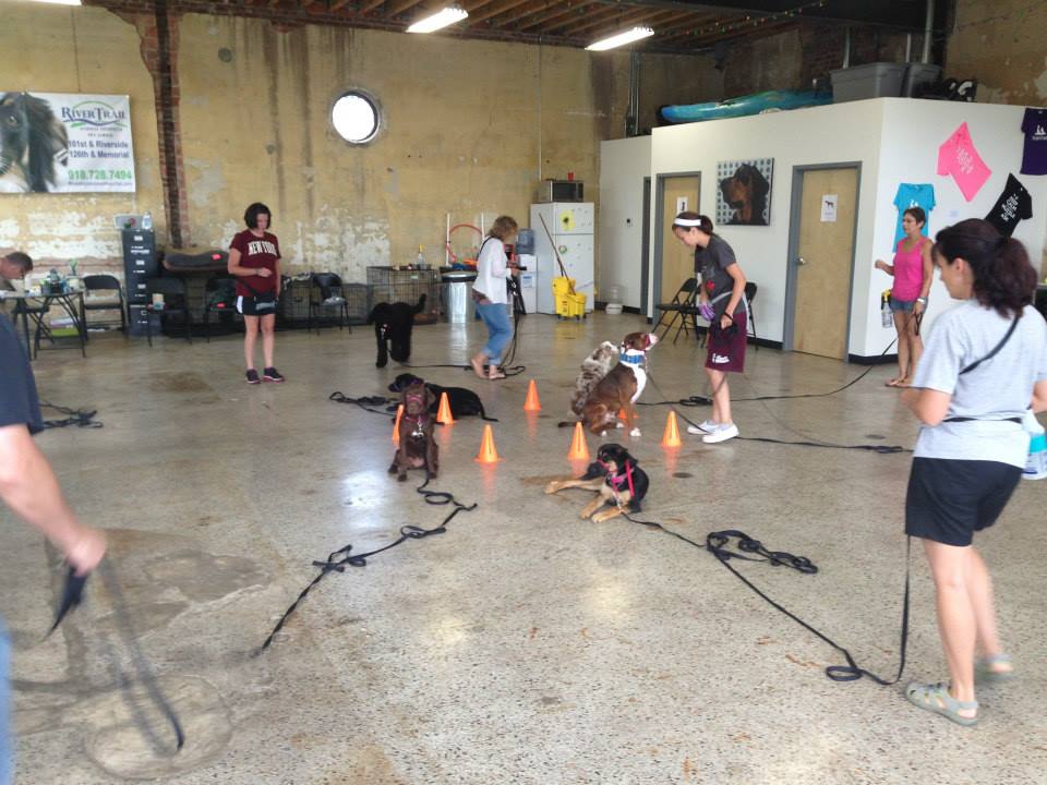 Intermediate Class